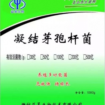 凝结芽孢杆菌畜牧养殖水产养殖专用饲料添加剂改善肠道抗应激可代工