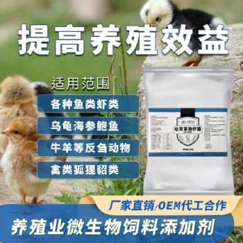 益昊生物1000亿2000亿枯草芽孢杆菌饲料添加剂