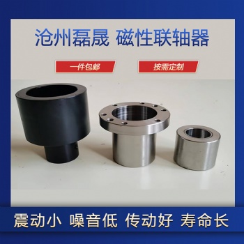 沧州磊晟厂家供应各种型号永磁径向联轴器油泵磁性传动件 可定制