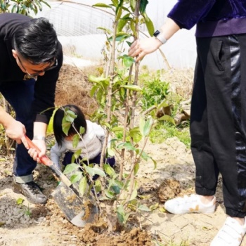 上海春季团建一日游推荐长兴岛植树摘草莓骑行游玩活动