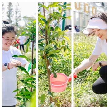 上海植树节桔园农庄种树骑行真人CS户外游玩项目