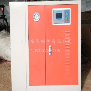 淮安东大锅炉LDR0.1-0.7-D电蒸汽发生器
