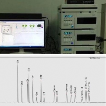 Rohs2.0之多环芳烃检测液相色谱仪