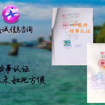尼日利亚大使馆双认证出口销售证明书