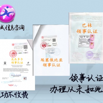 巴基斯坦领事认证已婚、派遣信公证