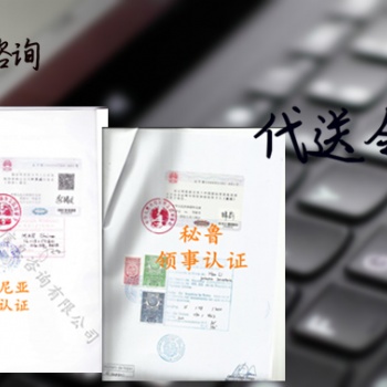 **器械登记证塞尔维亚领事盖章