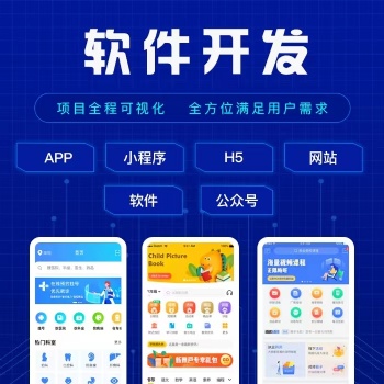 软件开发，小程序，网页，App，管理系统