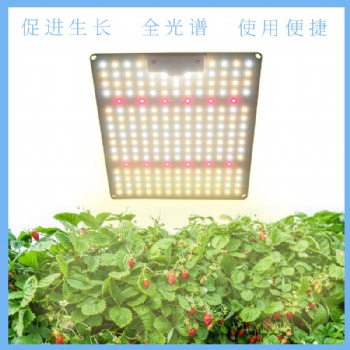 LED量子板植物生长灯