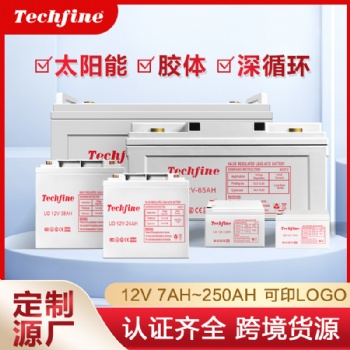 广东泰琪丰电子有限公司 - 铅酸蓄电池大量发售
