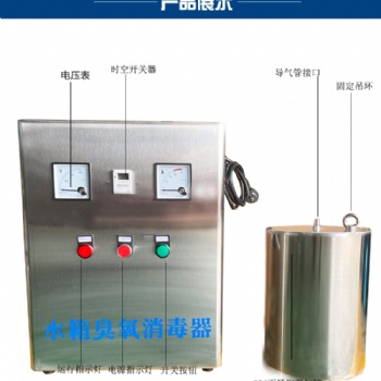 水箱自洁消毒器 WTS-2A 水箱臭氧消毒器