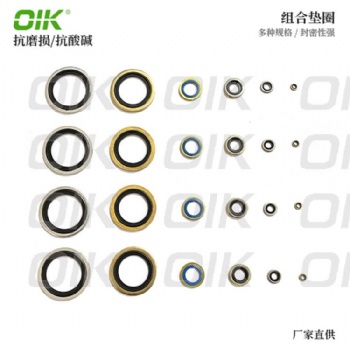 组合垫圈不锈钢丁腈M6 M8 M10 M12 M14 M16 M18 M20 M22 M24