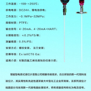 FY-001电容射频液位计