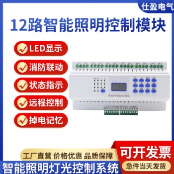 12路智能照明控制模块