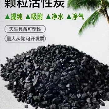 有机溶剂回收 核桃壳活性炭 特俐牌果壳活性炭