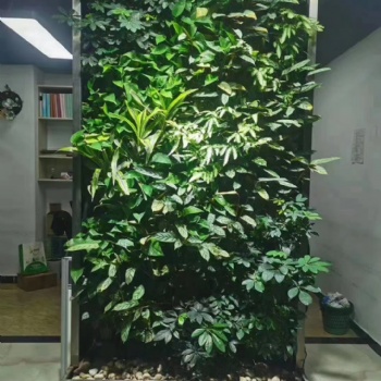 专业制作安装植物墙立体绿化