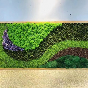 专业制作安装苔藓植物墙立体绿化