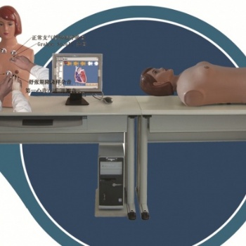 KAY-XF-AT智能型网络多媒体胸腹部检查综合教学系统（教师主控机）人体各大系统解剖模型