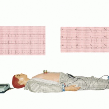 KAY-XD/I多种心电图电脑模拟人-心电图模型人-上海康谊医学教学仪器设备有限公司