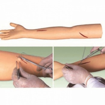KAY-F1**外科缝合手臂模型-上肢外科缝合训练模型-上海康谊医学教学仪器设备有限公司