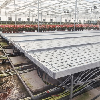 多种植物栽培潮汐苗床 大棚温室水培苗床 加厚塑料面板抗压强