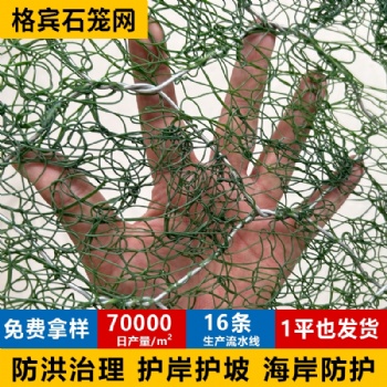 内蒙镀高尔凡绿色加筋麦克垫 河堤护坡石笼网垫 三拧石笼网箱