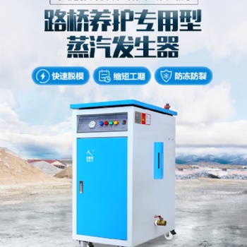 思耐德混凝土养护蒸汽发生器