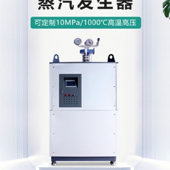 武汉思耐德专业定制各类型蒸汽发生器