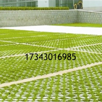 河北钦芃草坪砖，植生渗滤砌块