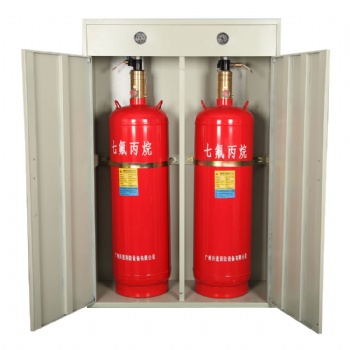双柜式七氟丙烷灭火装置 无管网式灭火设备 消防气体厂家 气体灭火系统