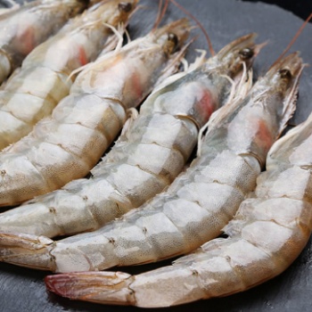 海鲜-冷冻海鲜-供应各种鱼类虾类鲜活海产品