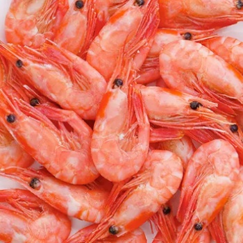 海鲜-冷冻海鲜-各种虾类海产品海鲜干货