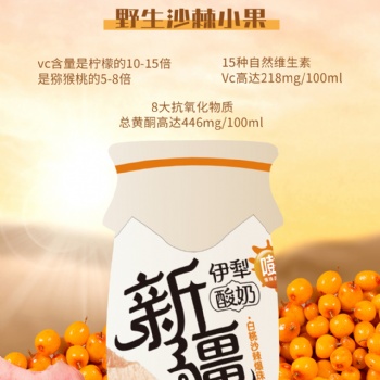 新疆小酸奶，特色风味酸奶，仿瓷瓶身，酸甜醇香