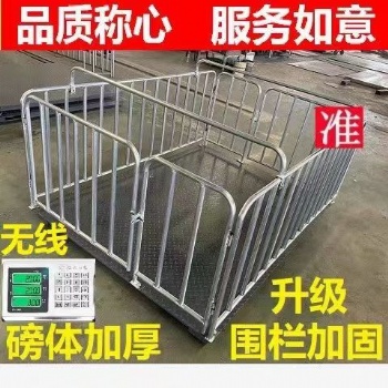 猪场用无线电子围栏地磅供防抖动防遥控