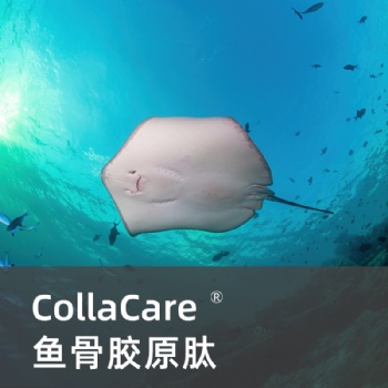 鳐鱼肽Cartidyss® II型胶原肽 类人皮深海肽