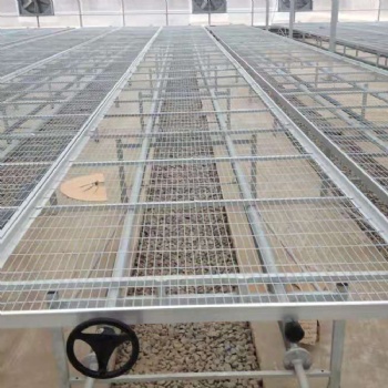 水肥一体化植物种植苗床 玻璃温室移动苗床 使用方便