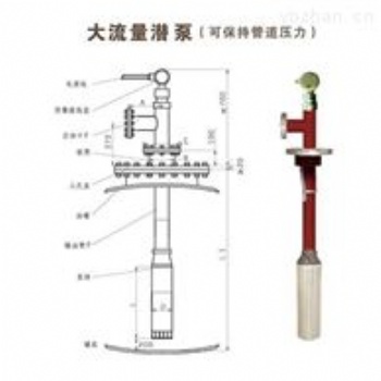 大流量潜泵绿牌防爆化工泵