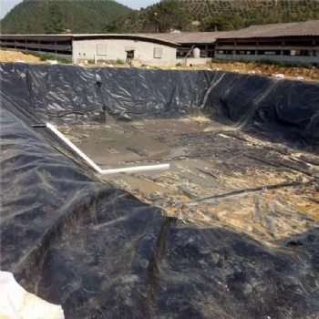 养殖厂建设沼气池氧化塘调节池垃圾填埋场防渗土工膜