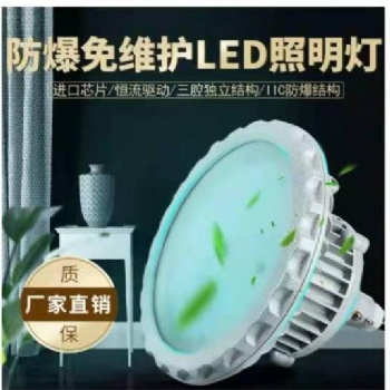 防爆免维护LED照明灯