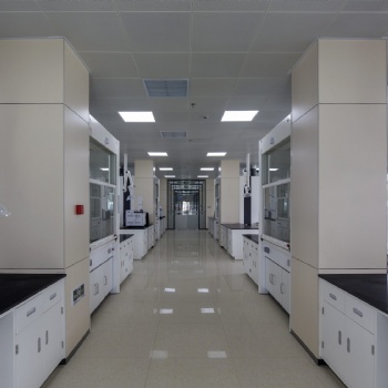 扶绥实验室药品柜-试剂柜-通风橱-实验室台定制安装公司-价格实惠