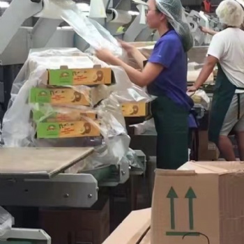 食品厂普工加工员出国劳务加盟正规工签月薪3万