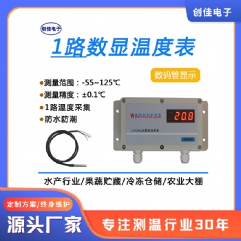 CYCW-2A数显温度表果蔬贮藏水产品冷藏仓库化工**蔬菜养殖大棚高精测温