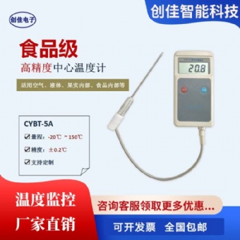 CYBT-**便携式手持中心温度计果心温度计探针温度计热力供热专用定制