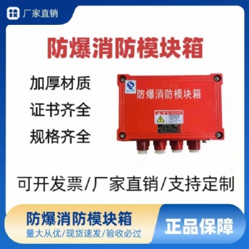 防爆消防模块箱端子箱安全栅应急照明集中电源箱等电位接线箱红色