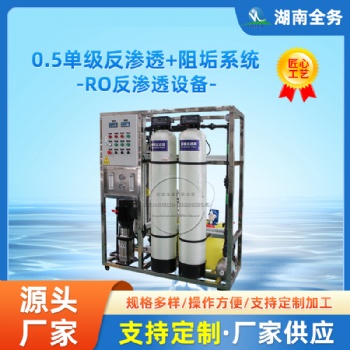0.5吨每小时单级反渗透+阻垢系统去离子