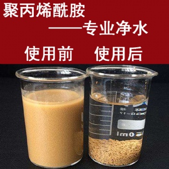 聚丙烯酰胺阴离子 污水处理药剂 厂家直发 国标纯度高