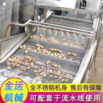 可定制气泡清洗机 净菜加工流水线 菠菜油菜黄瓜芹菜洗菜机