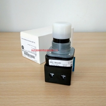 AB按钮开关800T-QBH2GAV