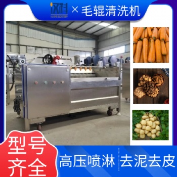 香芋毛辊清洗机 花生去泥清洗机 连续式毛刷去杂清洗机