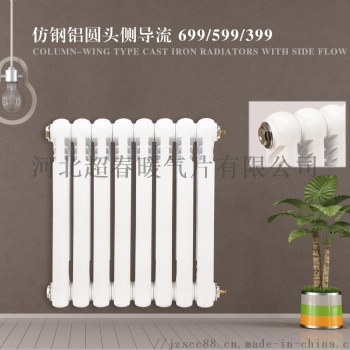 铸铁圆头侧倒流散热器 优质喷塑 耐用环保