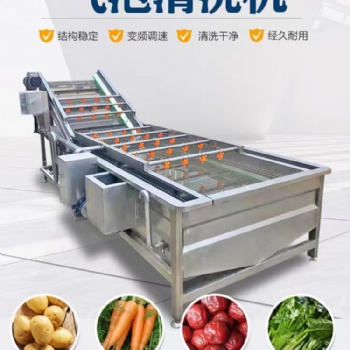商用大型全自动气泡清洗机大枣冬笋易损食品高压翻滚清洗机